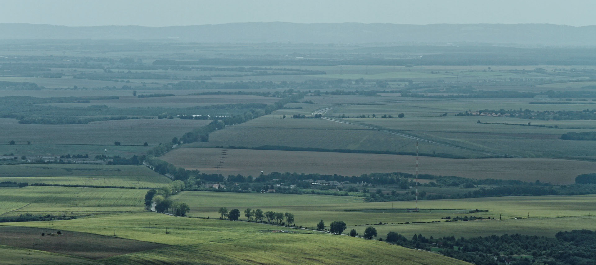 agriculture